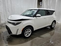 Rental Vehicles for sale at auction: 2025 KIA Soul LX