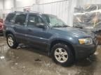 2005 Ford Escape XLT