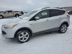 Ford Escape se salvage cars for sale: 2013 Ford Escape SE