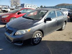 2010 Toyota Corolla Base en venta en Albuquerque, NM