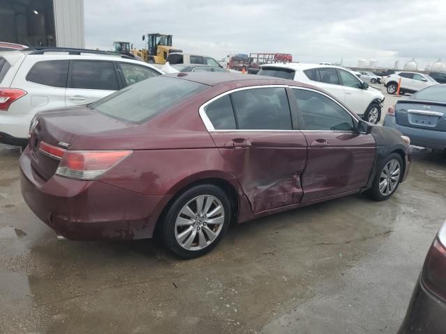 2011 Honda Accord EXL