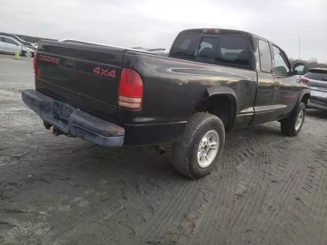 1999 Dodge Dakota