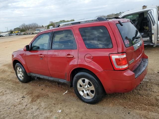 2011 Ford Escape Limited