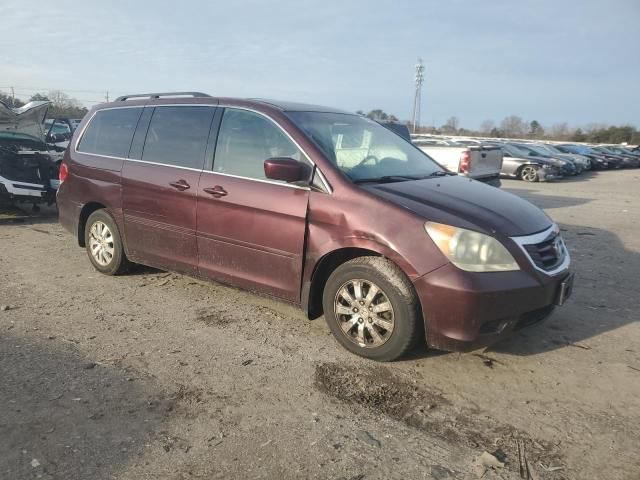 2008 Honda Odyssey EXL