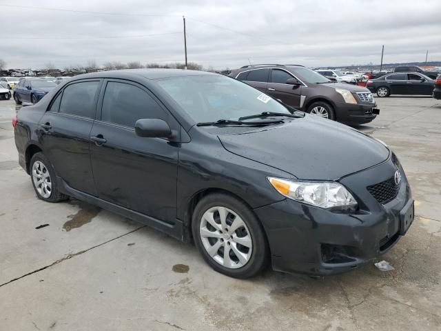 2010 Toyota Corolla Base