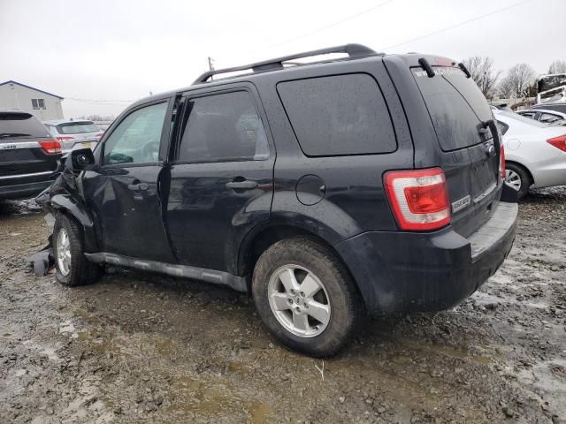 2012 Ford Escape XLT