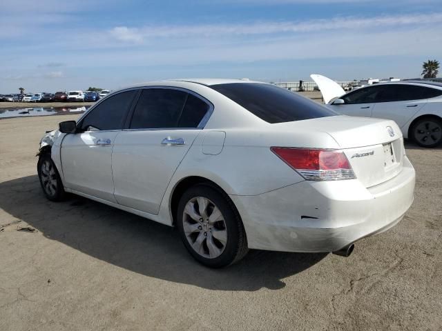 2010 Honda Accord EXL