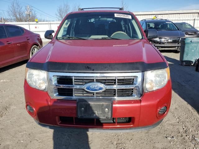 2011 Ford Escape XLS