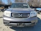 2014 Honda Pilot EXL