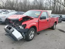 Salvage cars for sale at Glassboro, NJ auction: 2009 Ford F150