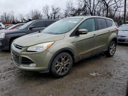 Ford Escape Vehiculos salvage en venta: 2013 Ford Escape SEL