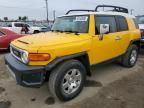 2007 Toyota FJ Cruiser