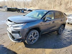 Salvage cars for sale at Marlboro, NY auction: 2024 Toyota Rav4 Prime XSE