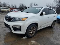 Salvage cars for sale at Baltimore, MD auction: 2013 KIA Sorento SX