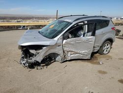 Salvage cars for sale at Albuquerque, NM auction: 2014 Ford Escape SE