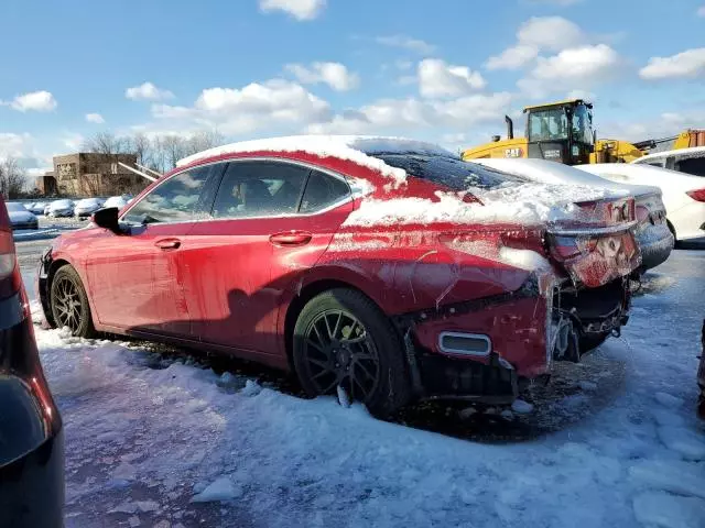 2019 Lexus ES 350