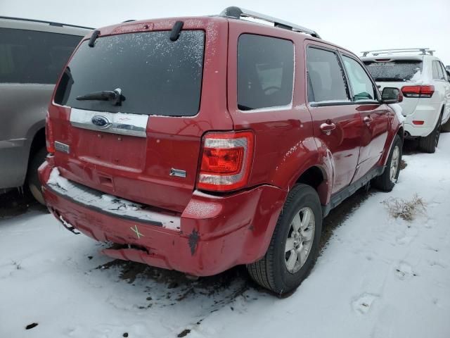 2010 Ford Escape Limited