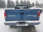 2003 Dodge Dakota SXT