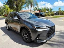 Salvage cars for sale at Opa Locka, FL auction: 2024 Lexus NX 250 Premium