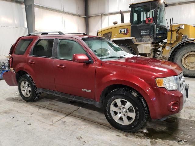 2008 Ford Escape Limited