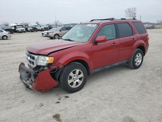 2011 Ford Escape Limited