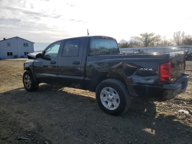 2008 Dodge Dakota SXT