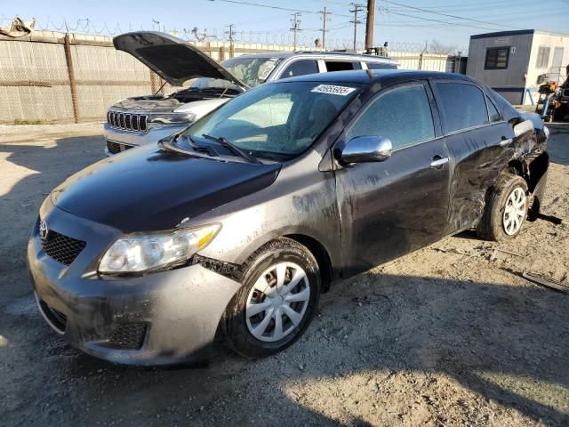 2009 Toyota Corolla Base