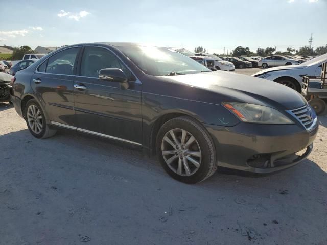 2010 Lexus ES 350