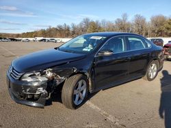 Salvage cars for sale at Brookhaven, NY auction: 2014 Volkswagen Passat SE