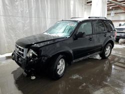 Salvage cars for sale at Leroy, NY auction: 2012 Ford Escape XLT