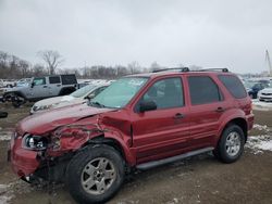 2007 Ford Escape XLT en venta en Des Moines, IA