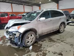 Honda salvage cars for sale: 2010 Honda CR-V EXL