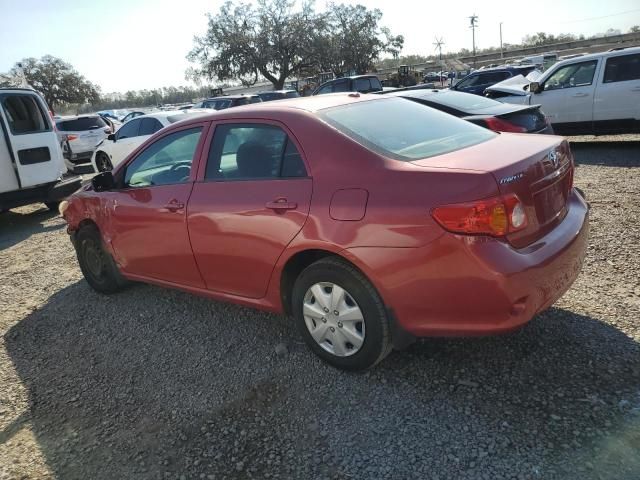 2010 Toyota Corolla Base