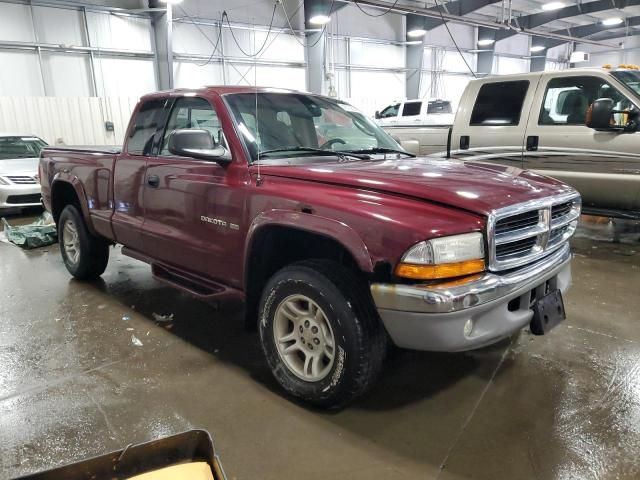 2001 Dodge Dakota