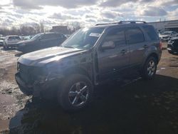 Salvage cars for sale at New Britain, CT auction: 2010 Ford Escape Limited