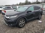 2019 Honda CR-V EXL