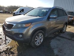 Salvage cars for sale at Windsor, NJ auction: 2011 KIA Sorento EX