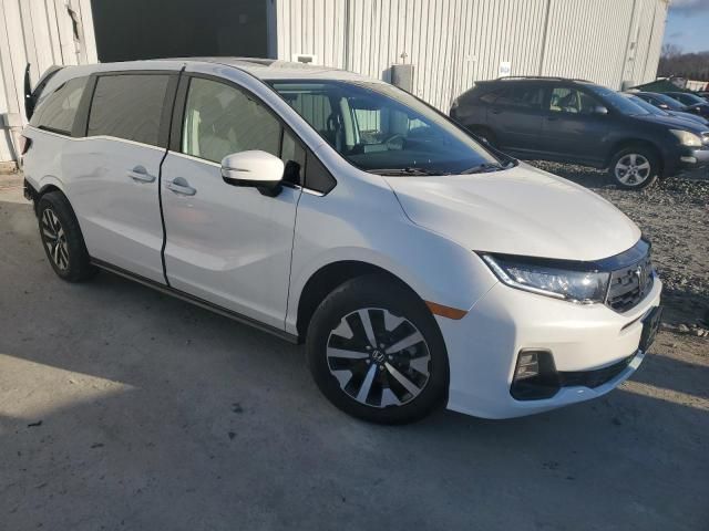 2025 Honda Odyssey EXL