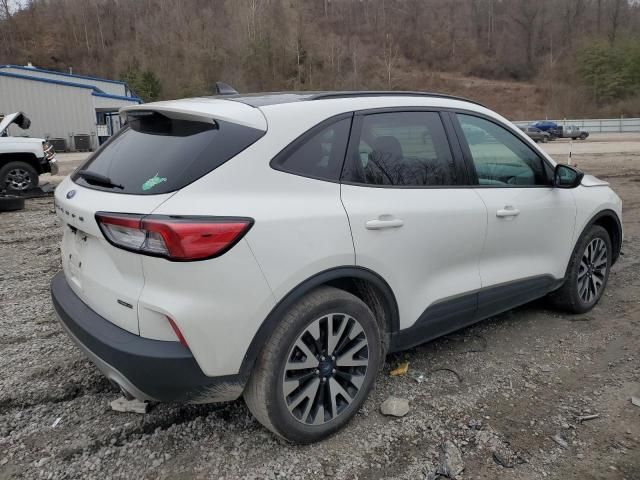 2020 Ford Escape SE Sport