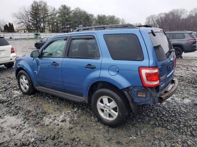 2009 Ford Escape XLT