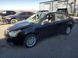 Salvage cars for sale at Albuquerque, NM auction: 2010 Ford Focus SE