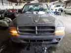 2003 Dodge Dakota Quad Sport