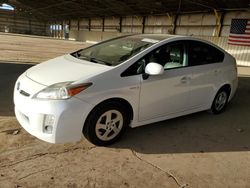 Salvage cars for sale at Phoenix, AZ auction: 2010 Toyota Prius