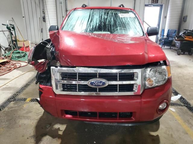 2012 Ford Escape XLT