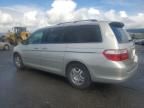 2005 Honda Odyssey EX