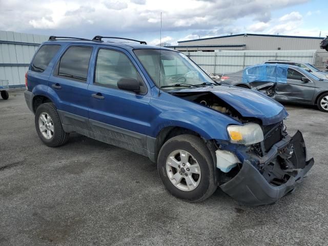 2007 Ford Escape XLT