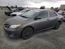 Toyota Vehiculos salvage en venta: 2013 Toyota Corolla Base