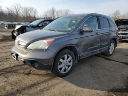 Salvage cars for sale at Marlboro, NY auction: 2009 Honda CR-V EXL