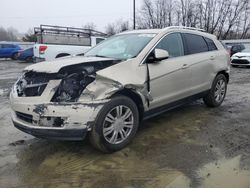 Salvage cars for sale at Windsor, NJ auction: 2011 Cadillac SRX Luxury Collection