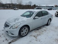 Infiniti q40 Vehiculos salvage en venta: 2015 Infiniti Q40